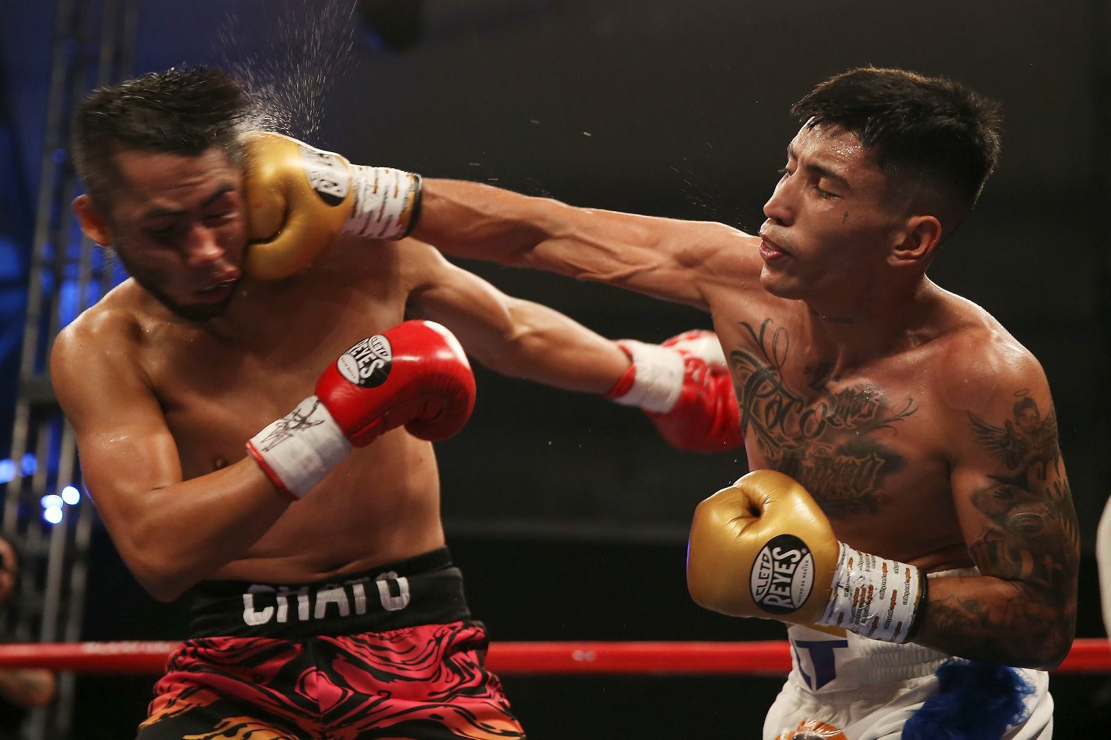 jose andres LOQUILLO teran vs CHATO perez (3)