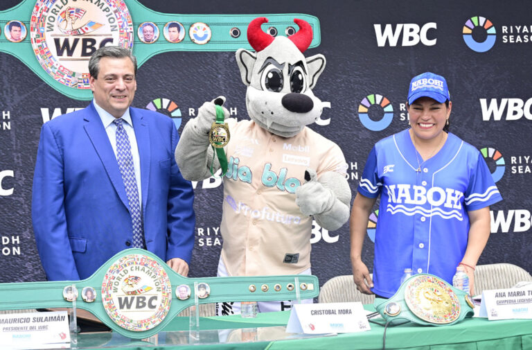 reconocimiento ana maria LA GUERRERA torres (1)