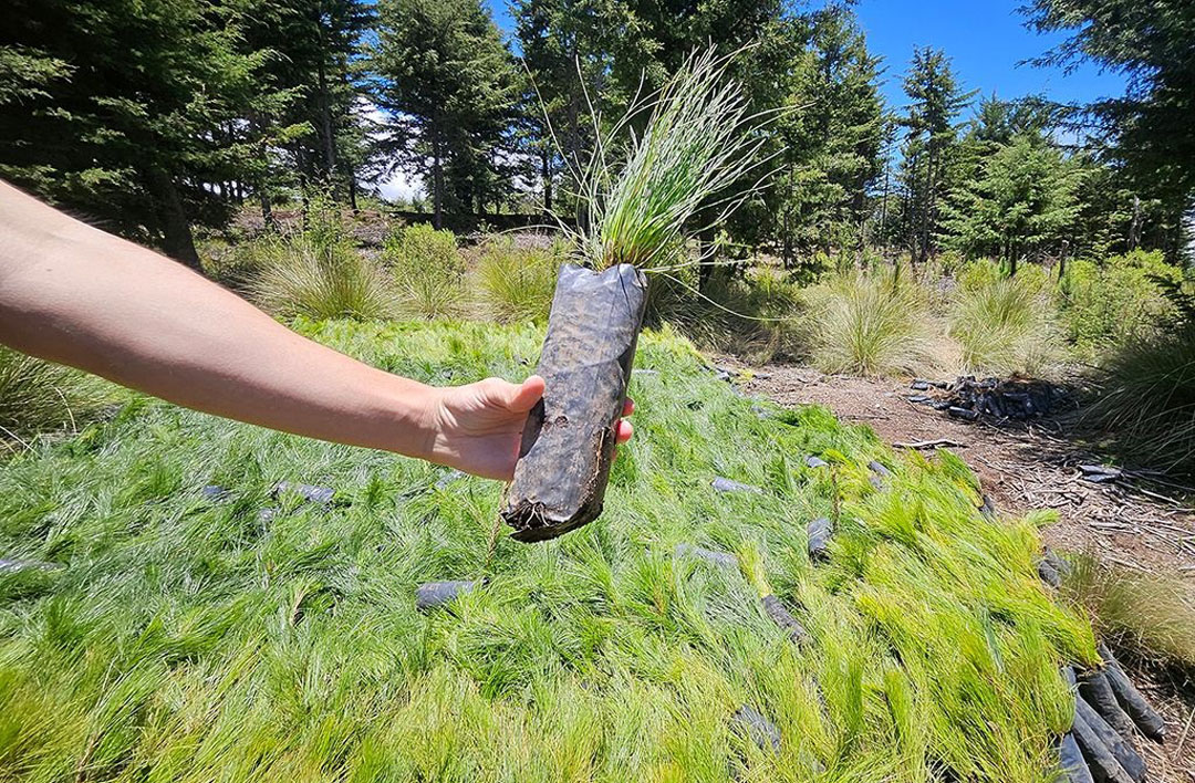 super copa y cruz roja (1)