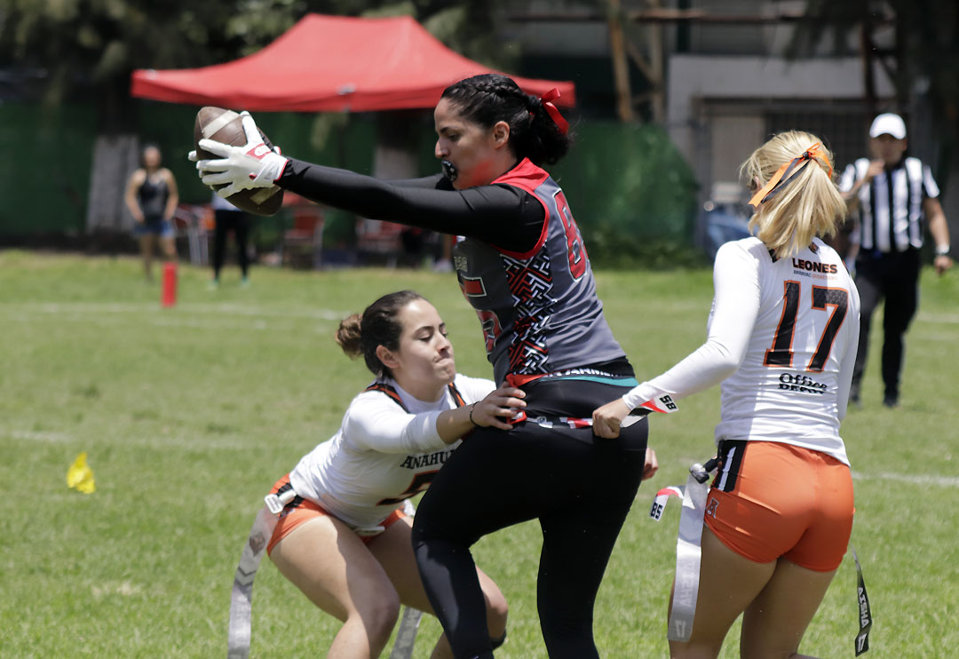 leones de la anahuac queretaro vs olmecas (3)