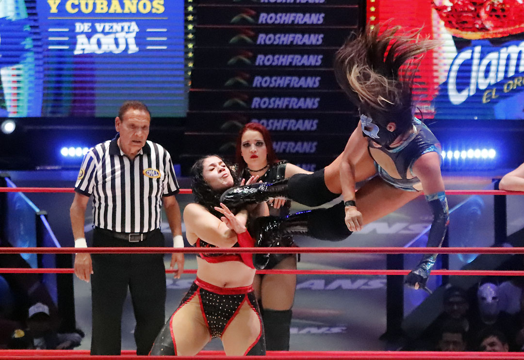 sanely vs persephone (1)