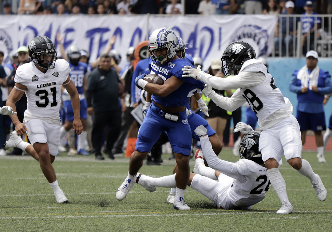 borregos tc ccm vs leones anahuac (7)