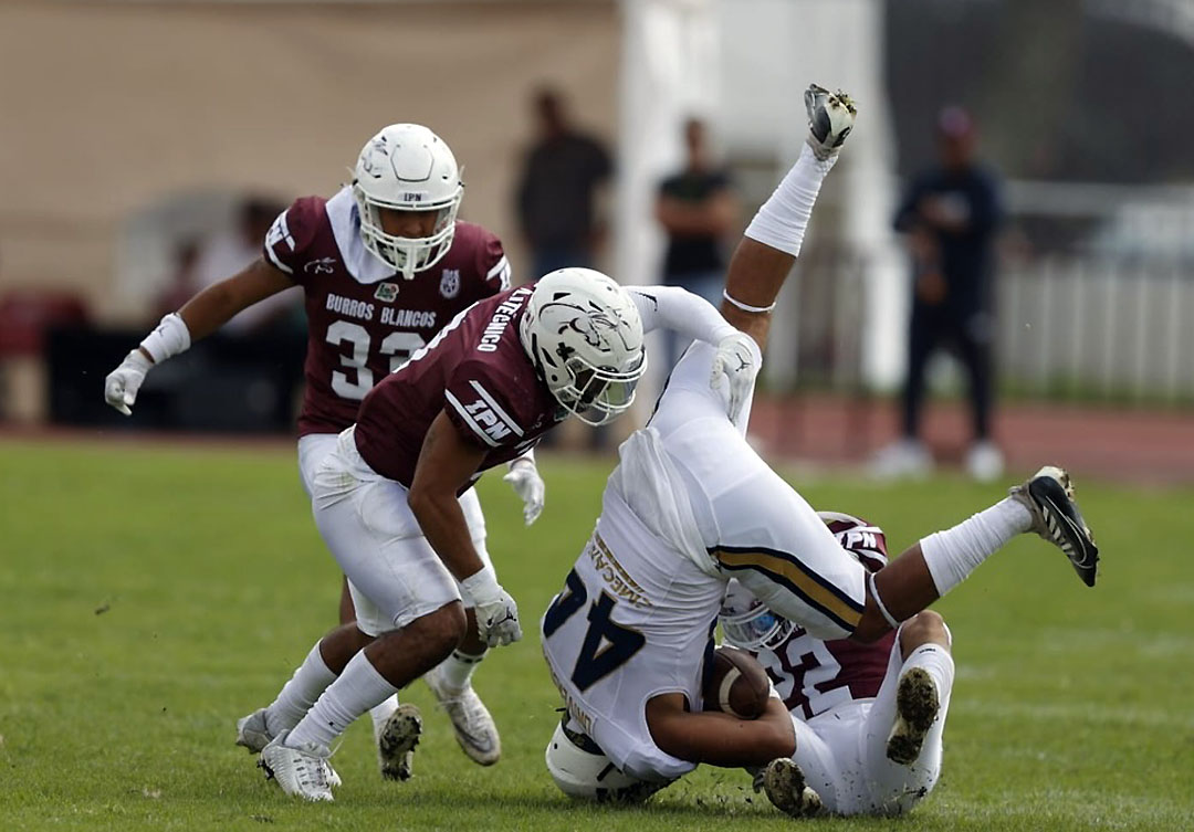 burros blancos vs pumas acatlan (1)