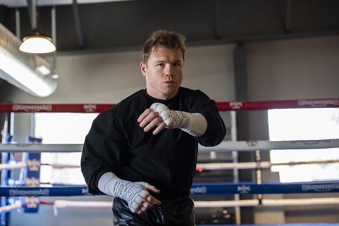 saul CANELO alvarez (1)