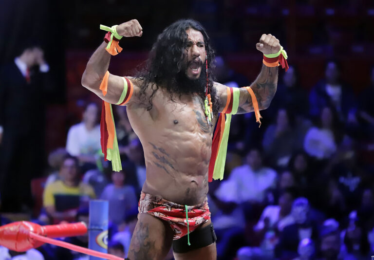 dragon rojo junior (13)