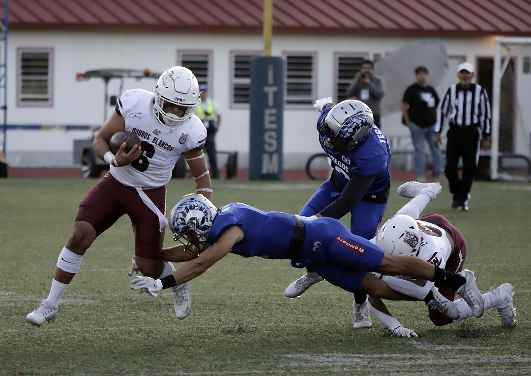 borregos tec ccm vs burros blancos del ipn (6)