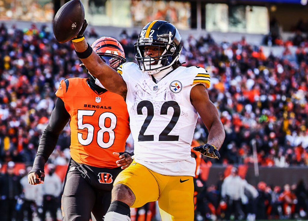 pittsburgh steelers vs cincinnati bengals (2)