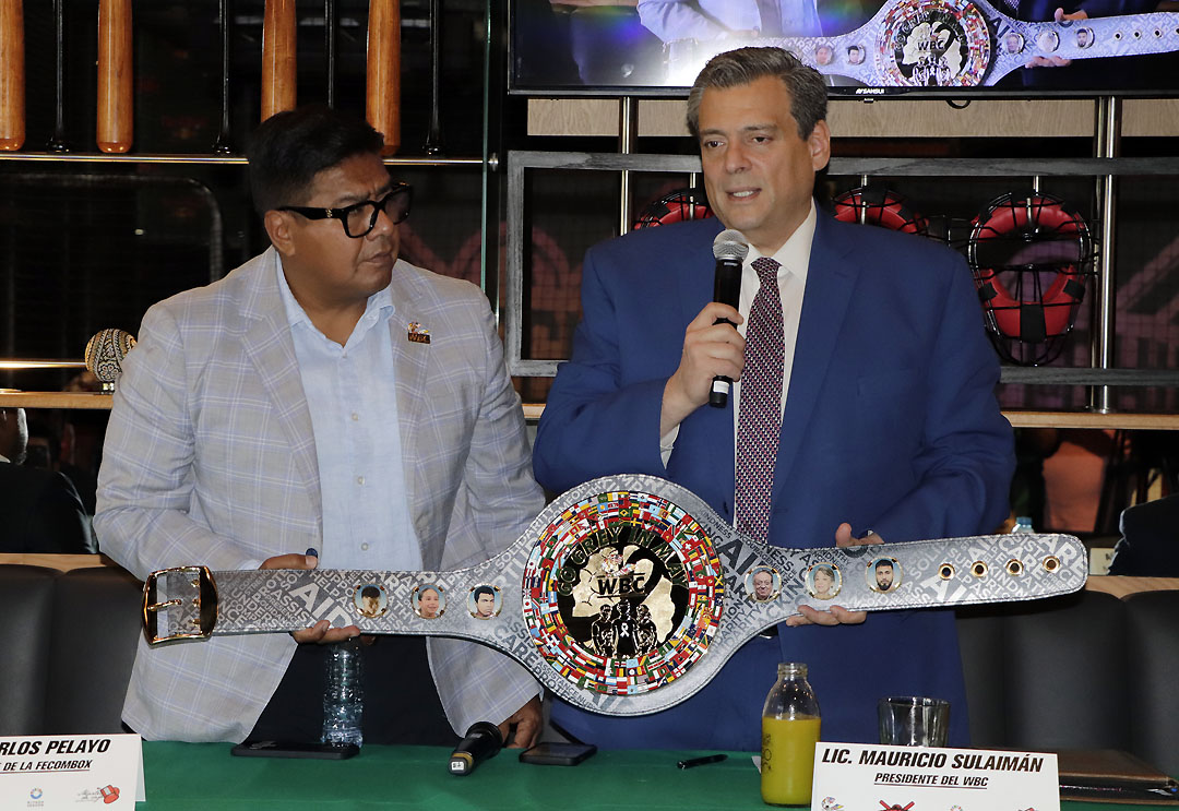 cinturon gris wbc 2025 (1)