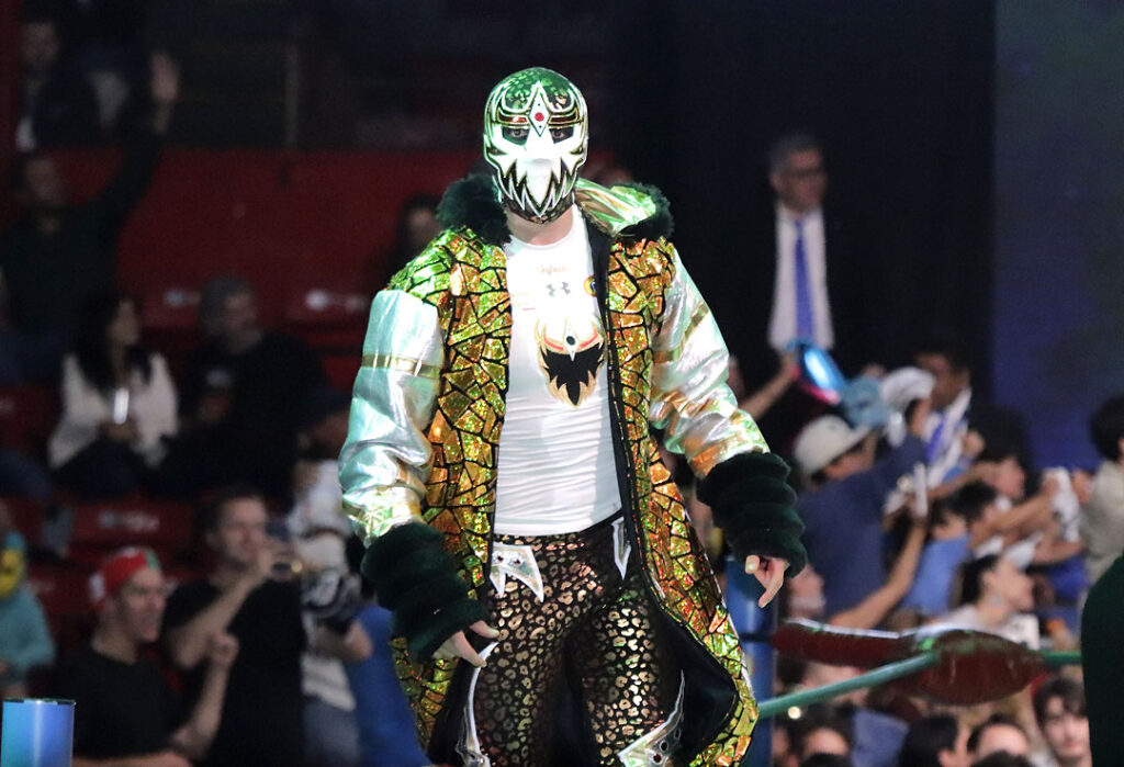 mascara dorada (1)