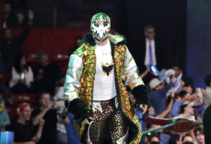 mascara dorada (1)