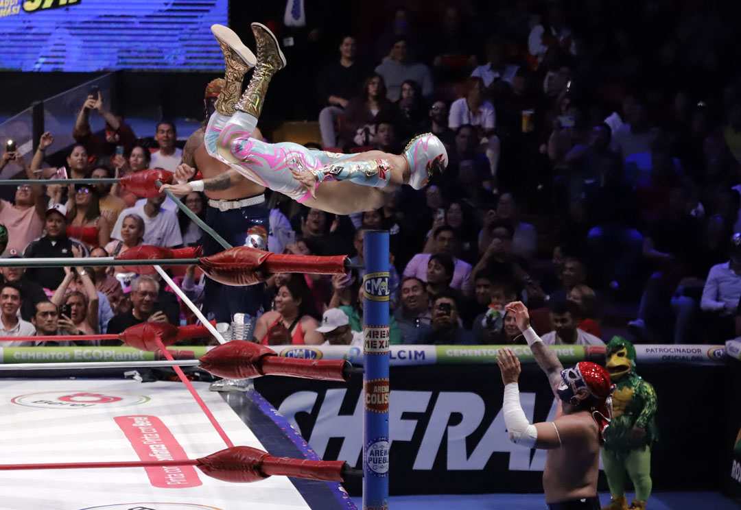 mascara dorada vs barboza (1)