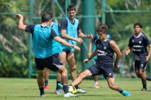 pumas (1)