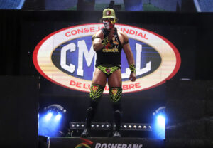 volador junior (1)