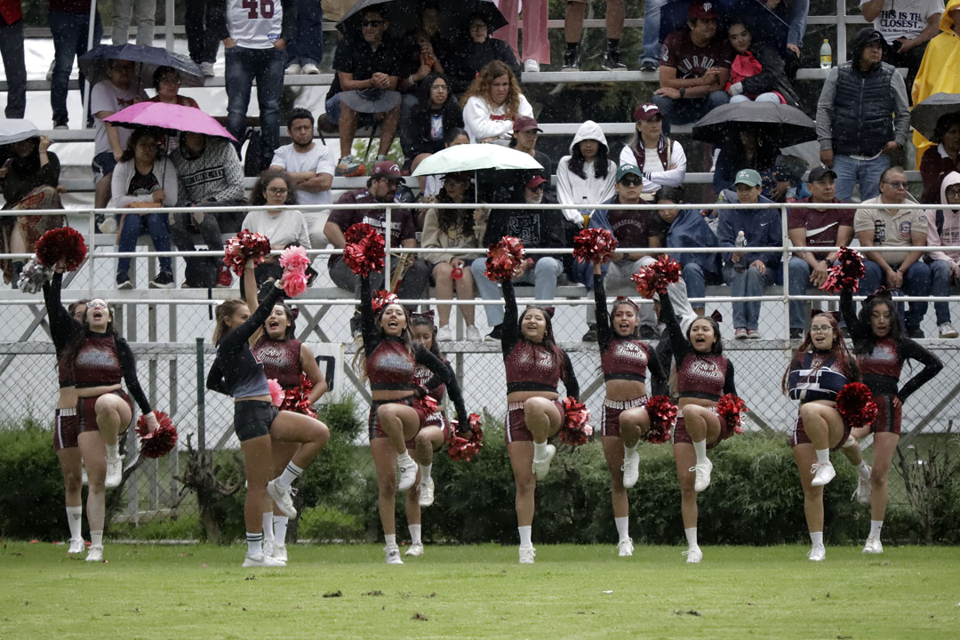 porristas burros blancos (18)