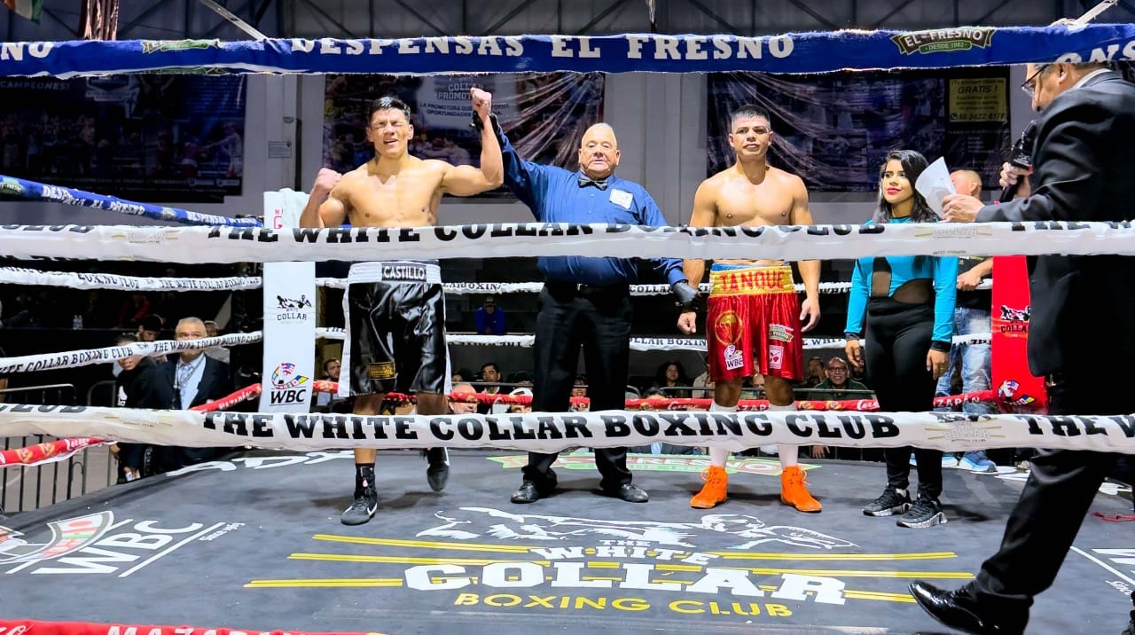 white collard promotions