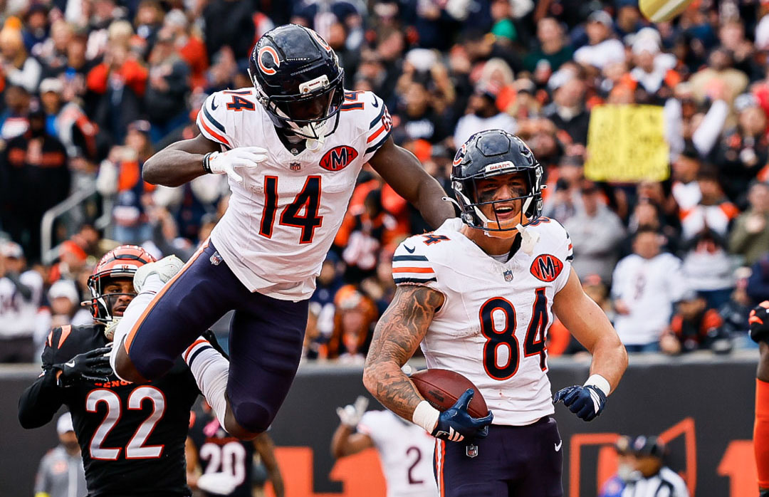 bears vs bengals (1)