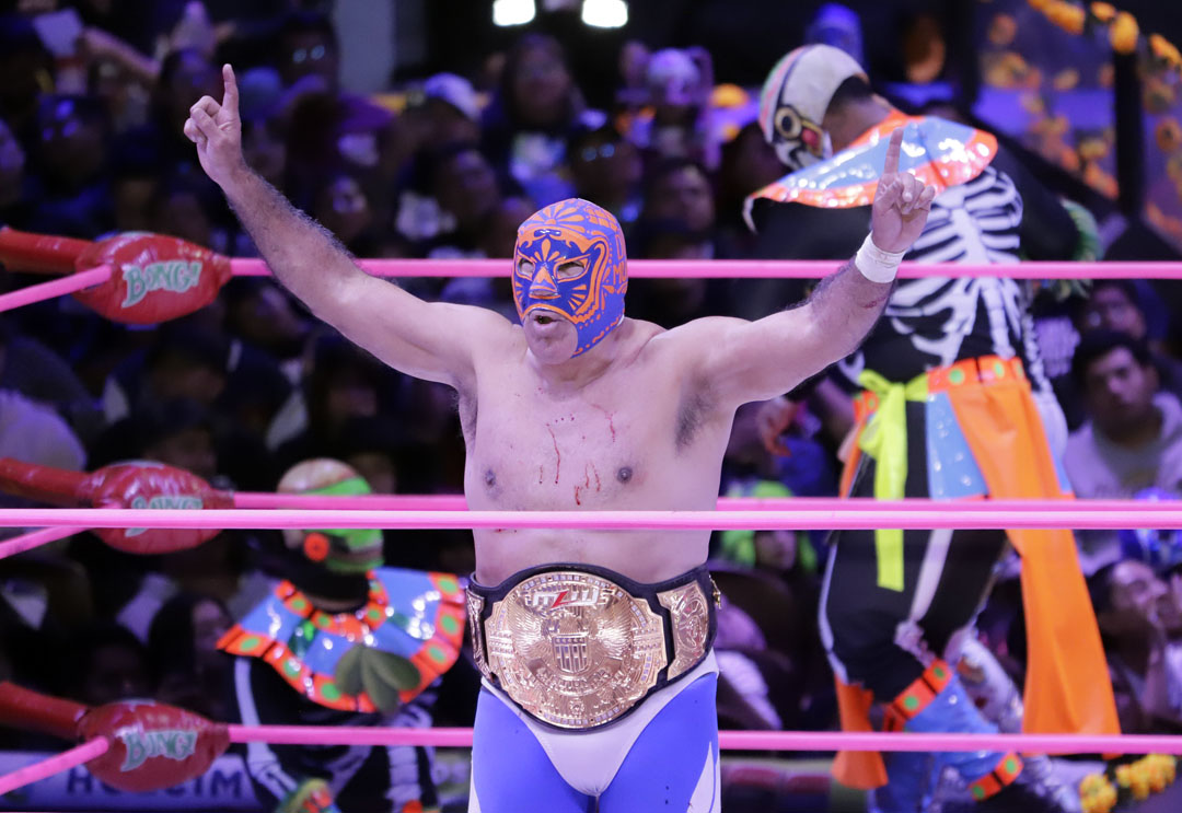 blue panther vs averno (1)