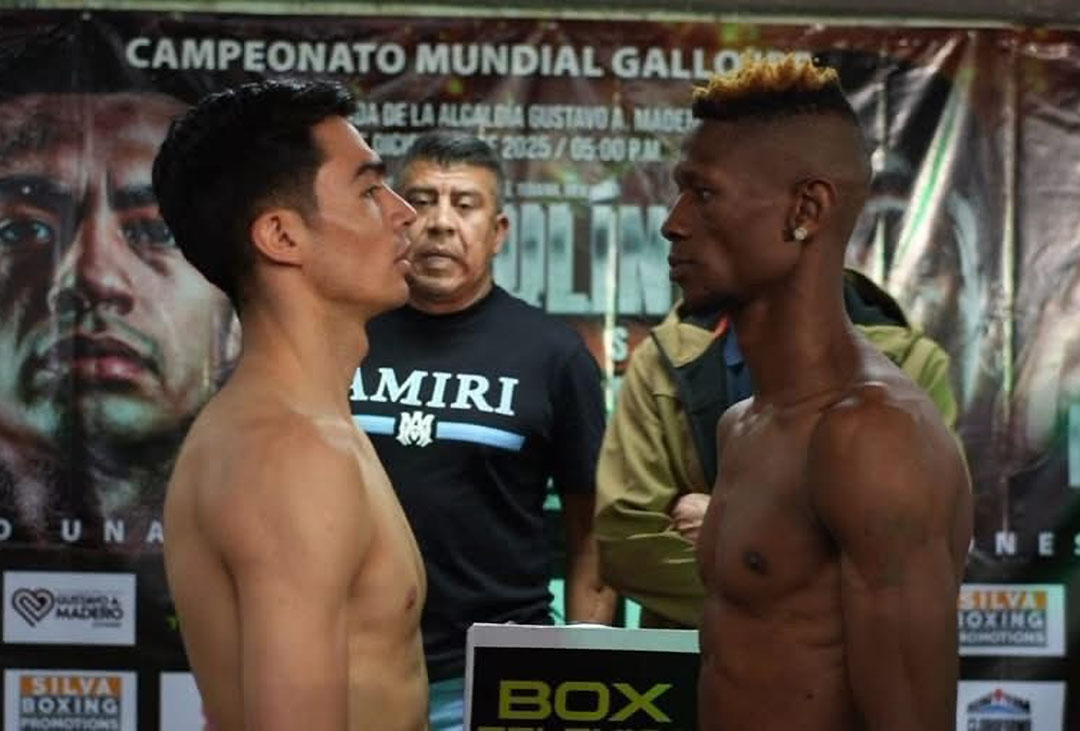 José “Chapulín” Salas vs Landile Ngxeke