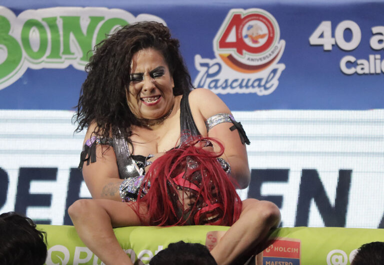 magnifica vs jarochita (1)