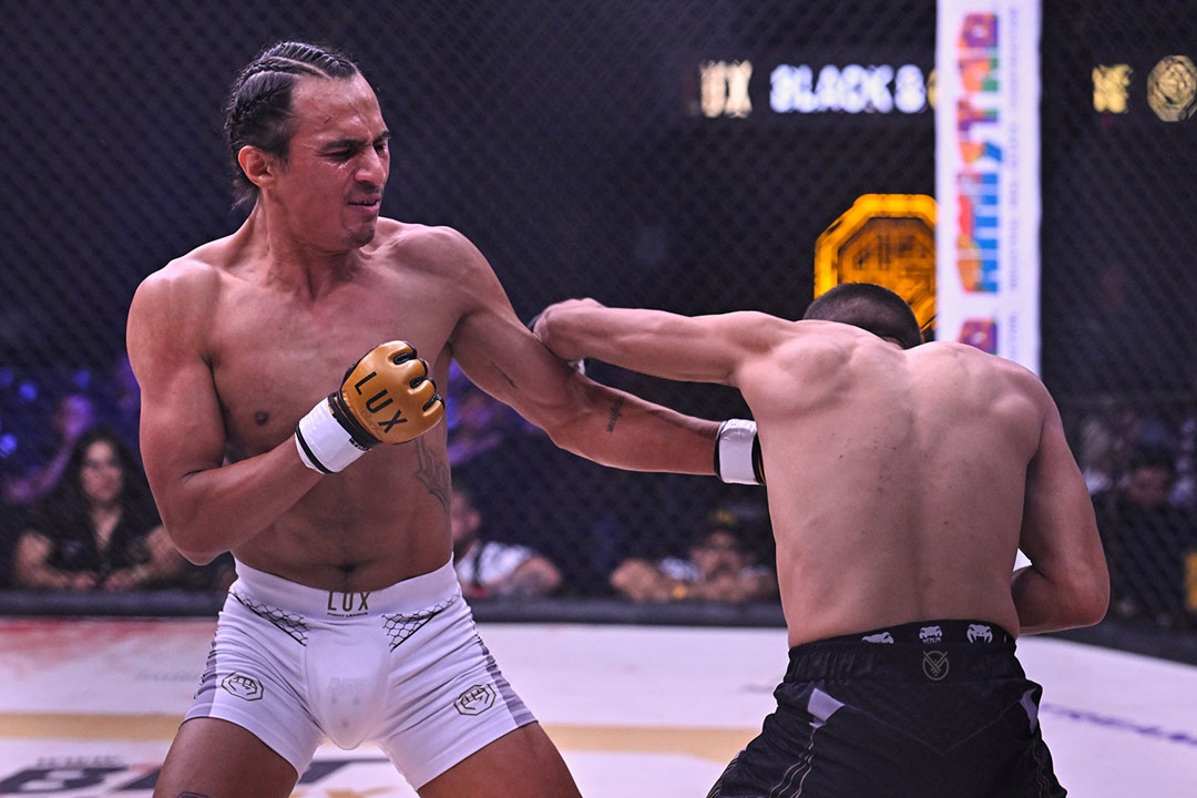 Cesar Demoledor Vazquez 2