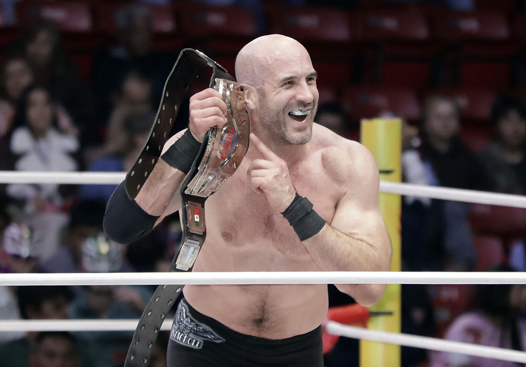 claudio castagnoli (4)