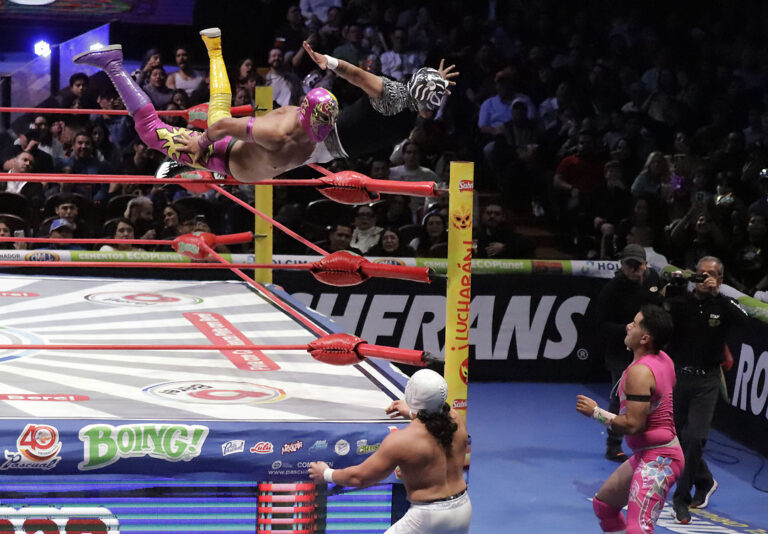 capitan suicida e hijo del pantera vs dulce gardenia y brillante junior (1)