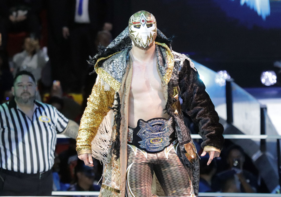 mascara dorada (1)