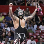 black tiger vs esfinge (1)