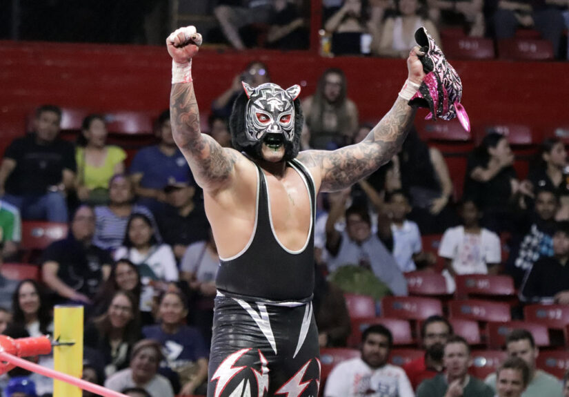 black tiger vs esfinge (1)