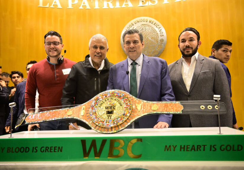 cinturon tollan tlatequi de hidalgo (1)