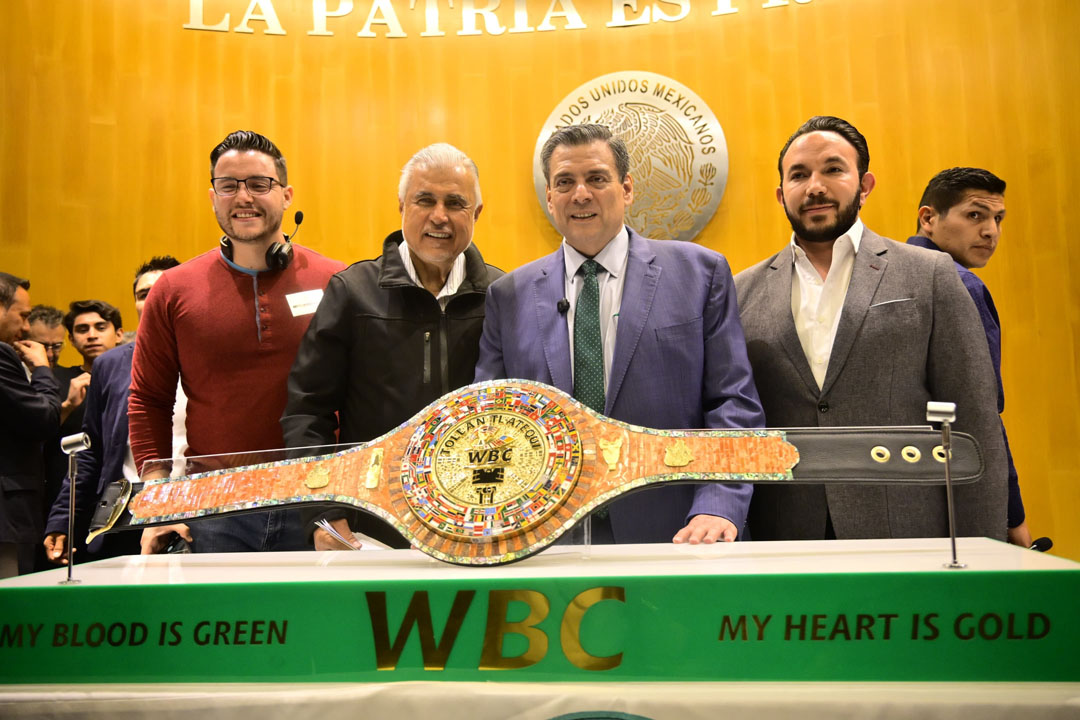 cinturon tollan tlatequi de hidalgo (1)