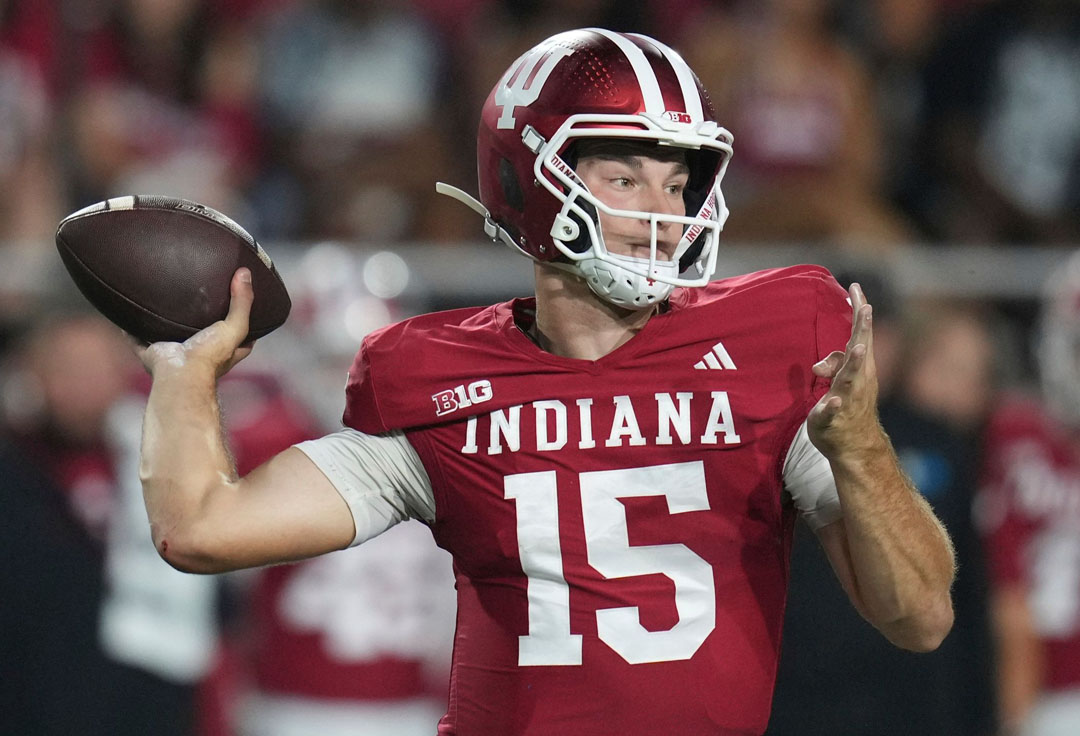 fernando mendoza (1)