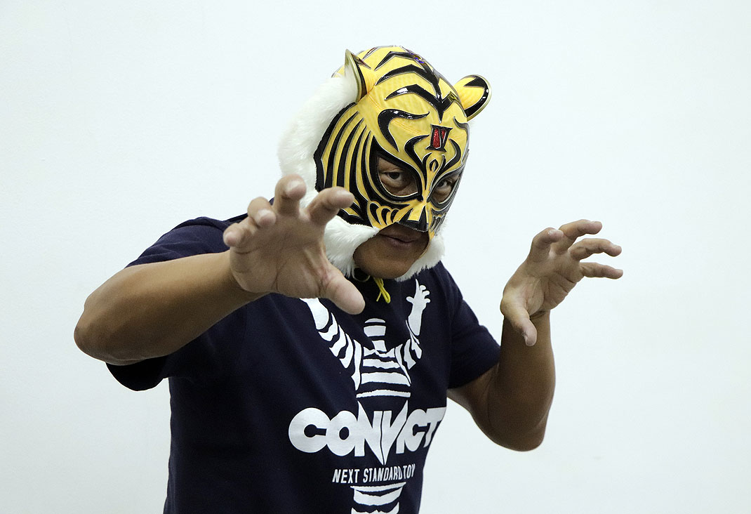 tiger mask (4)