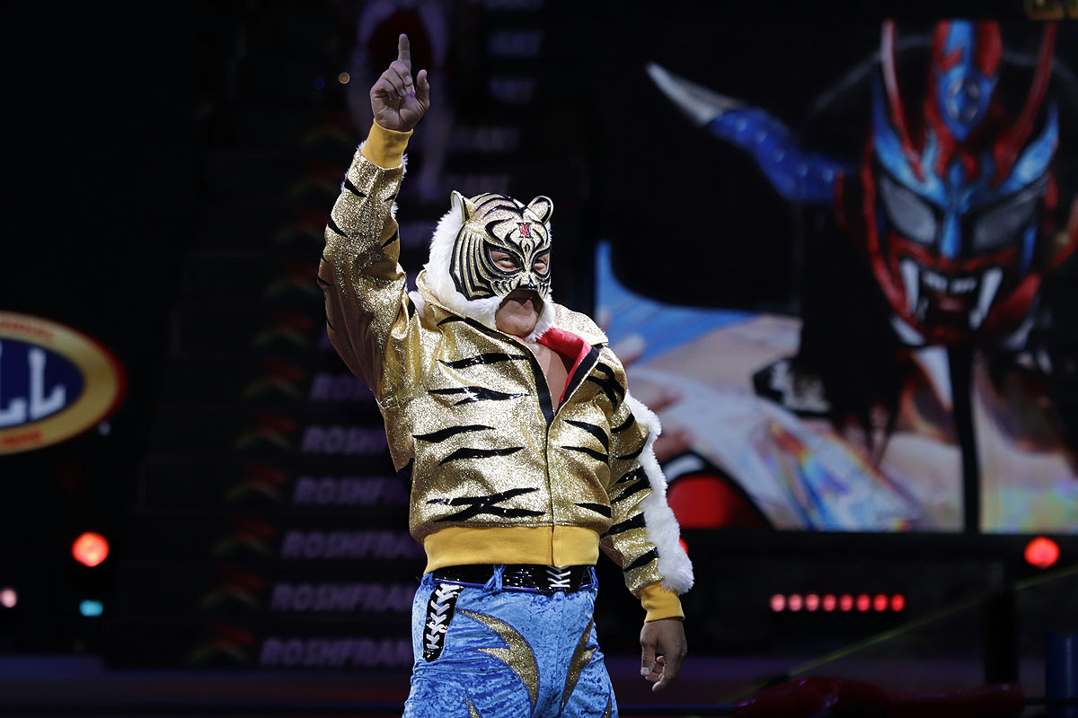 tiger mask (25)