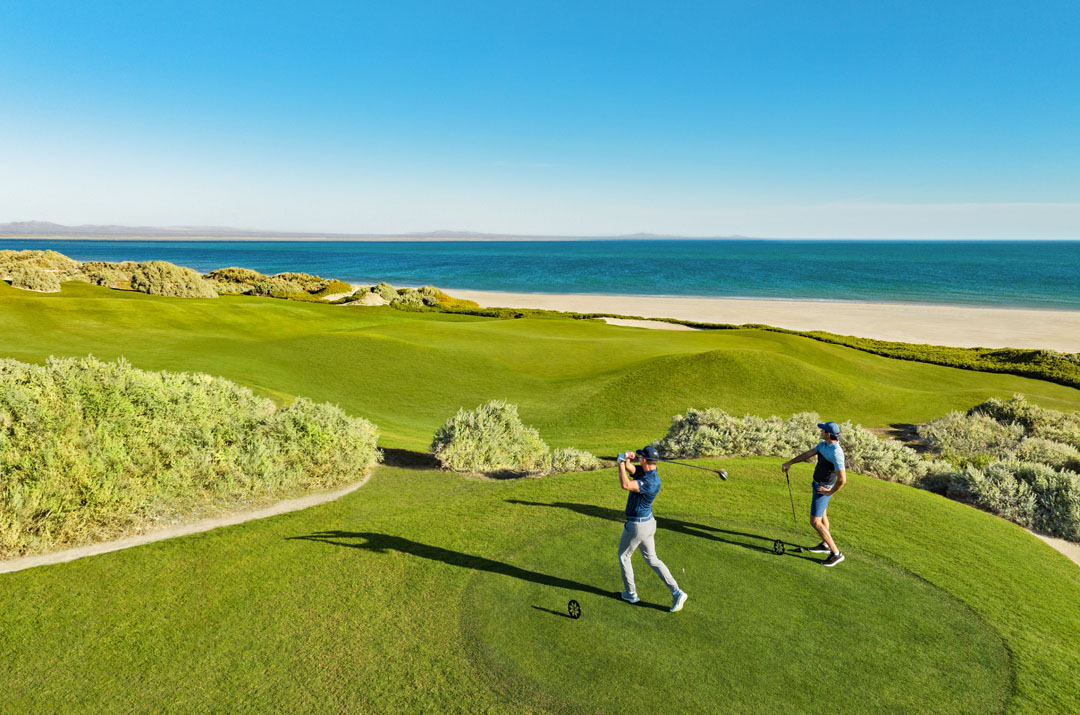 vidantaworld pga tour (1)