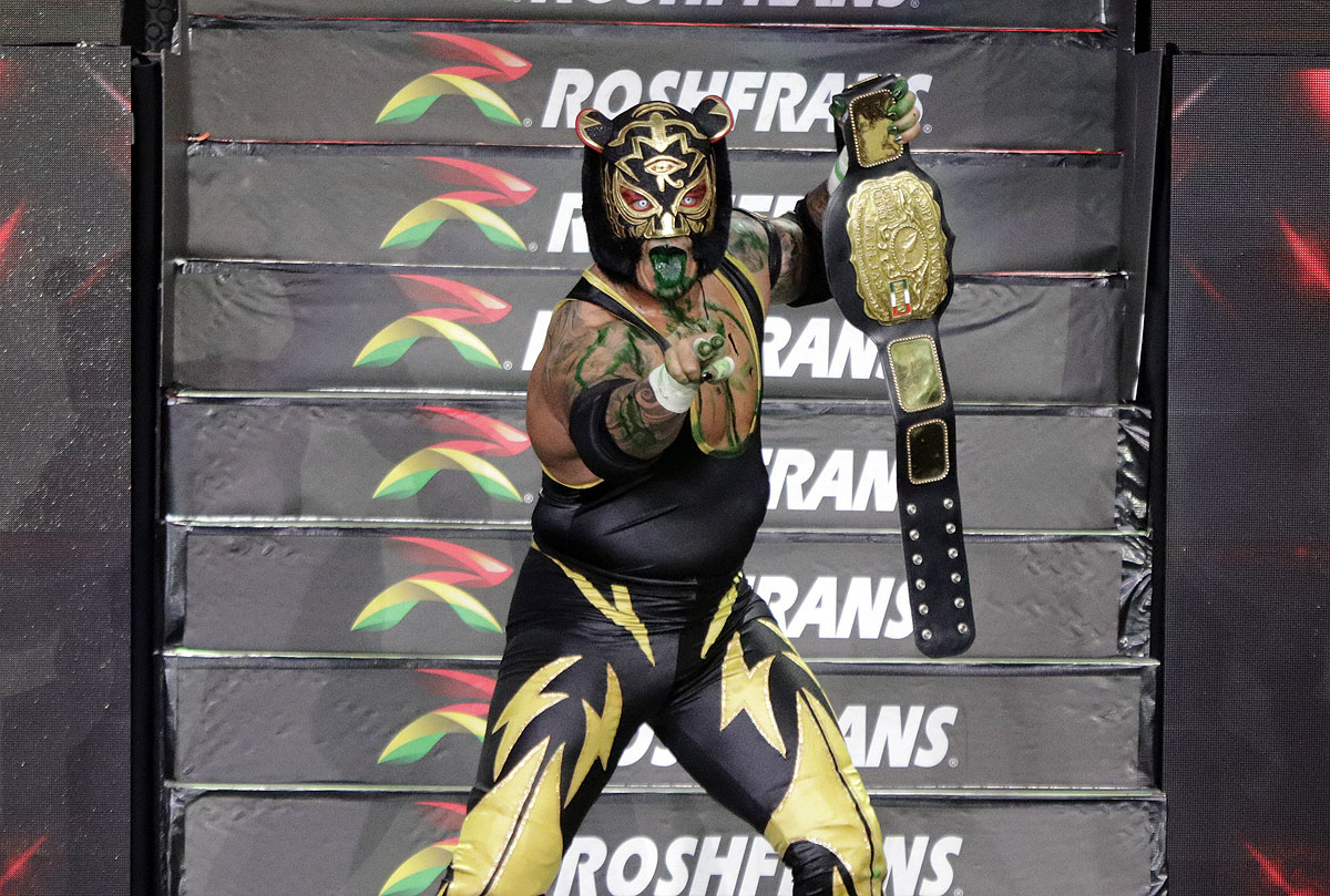 black tiger (1)