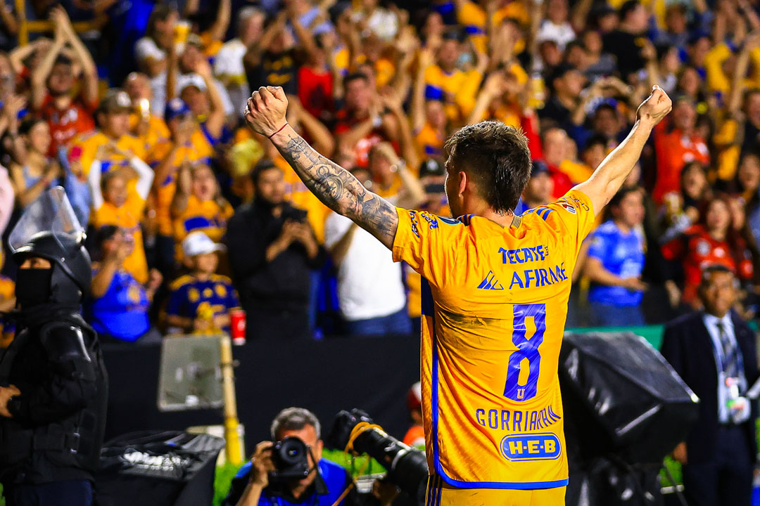 tigres (1)