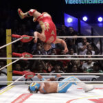 kaligua vs pequeño volador junior (1)