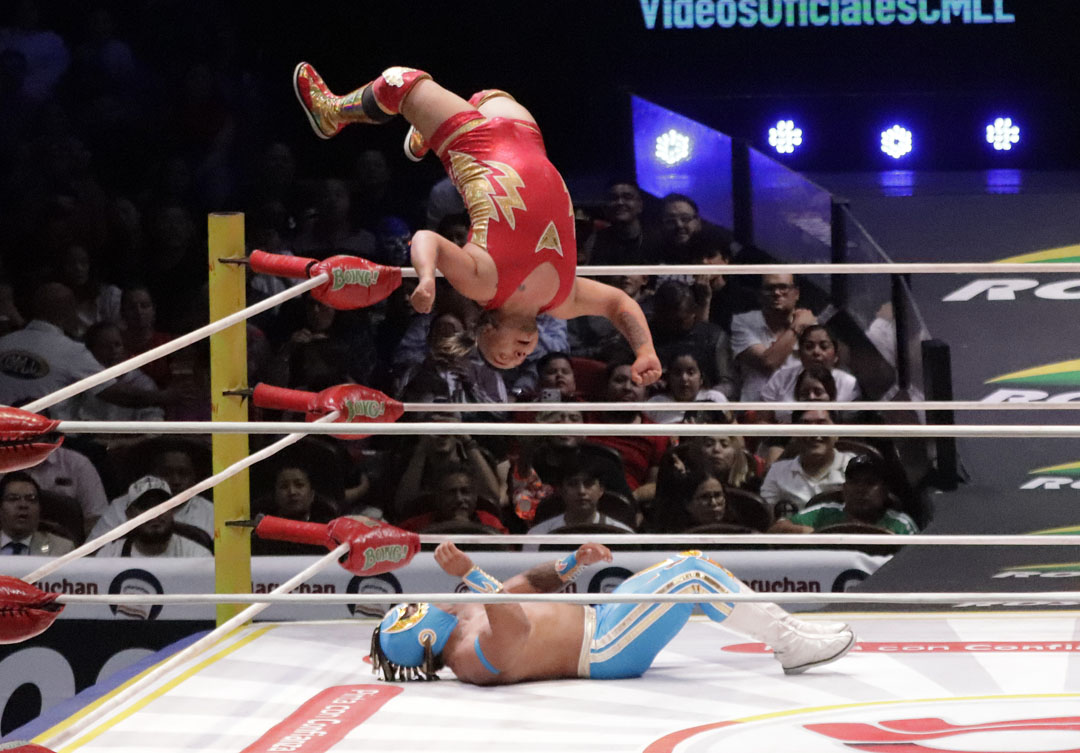 kaligua vs pequeño volador junior (1)