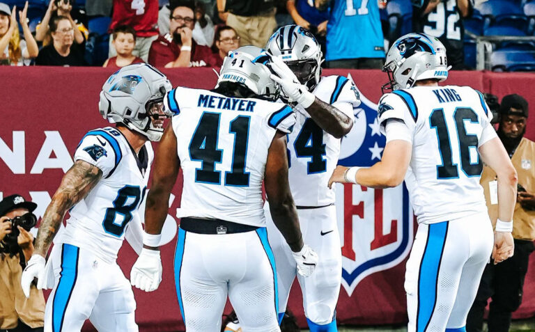 carolina panthers vs arizona cardinals (1)
