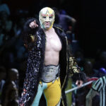 mascara dorada (1)