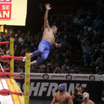blue panther vs rey pegasus y brillante junior (1)