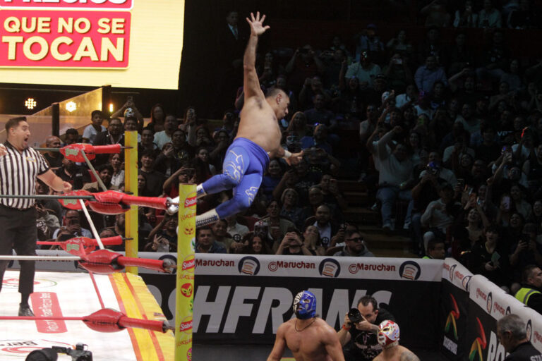 blue panther vs rey pegasus y brillante junior (1)