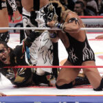 coyote vs rey cometa (1)