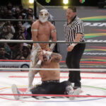mistico vs zandokan junior (5)