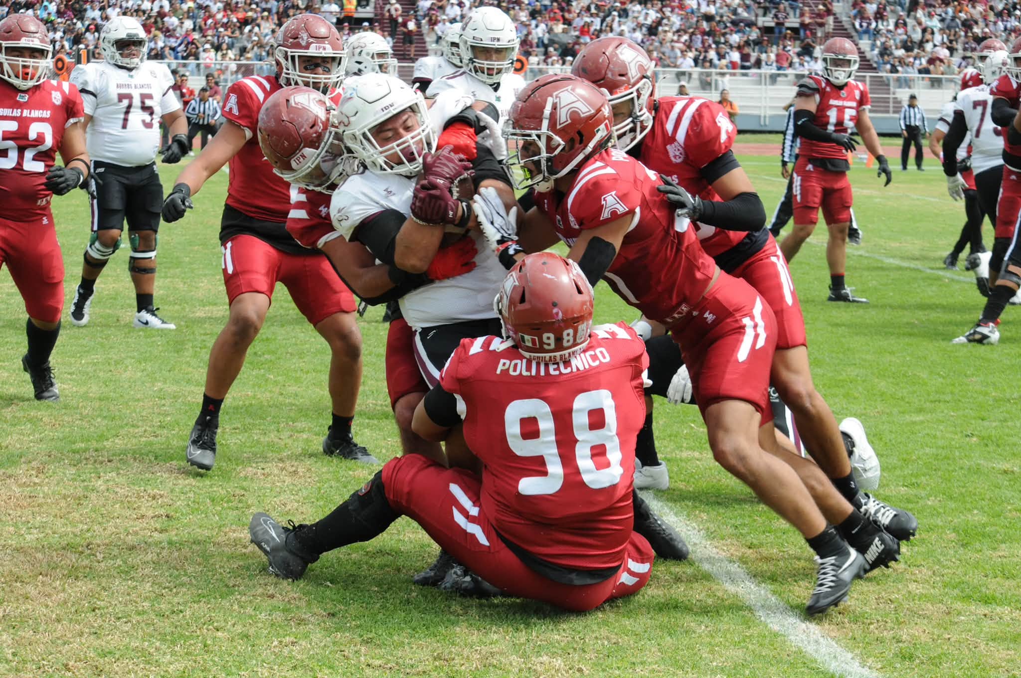 aguilas blancas vs burros blancos (1)