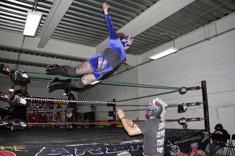 blue queen vs vago I (2)