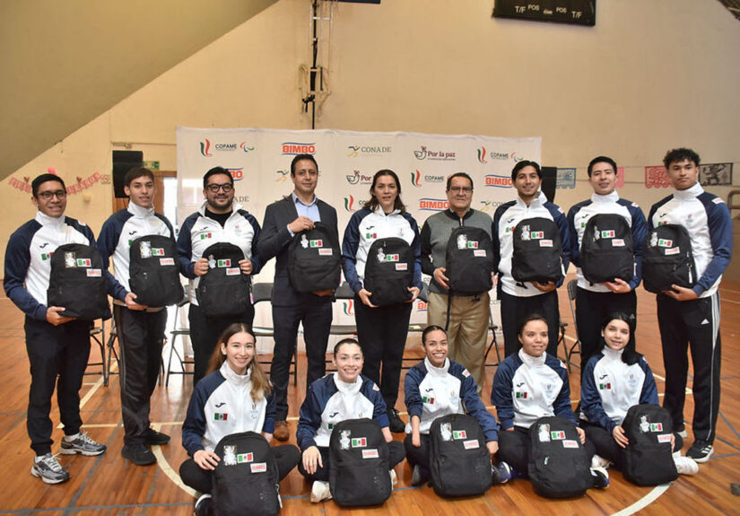 comite paralimpico mexicano - tae kwon do